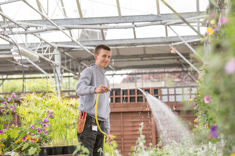 Level 2 Award in the Principles of Safe Handling and Application of