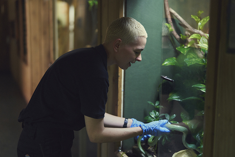 Student learning Animal Management in Northumberland College zoo