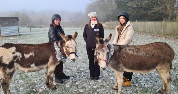 Animal Management students Ashleigh and Holly with Northumberland College Zoo’s donkeys Princess and Lillian.