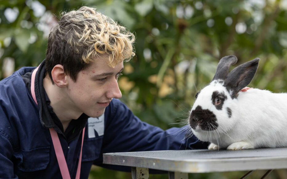 Northumberland College Animal Care student with a rabbit