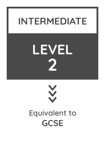 Apprenticeships Web Graphics Grey (1)