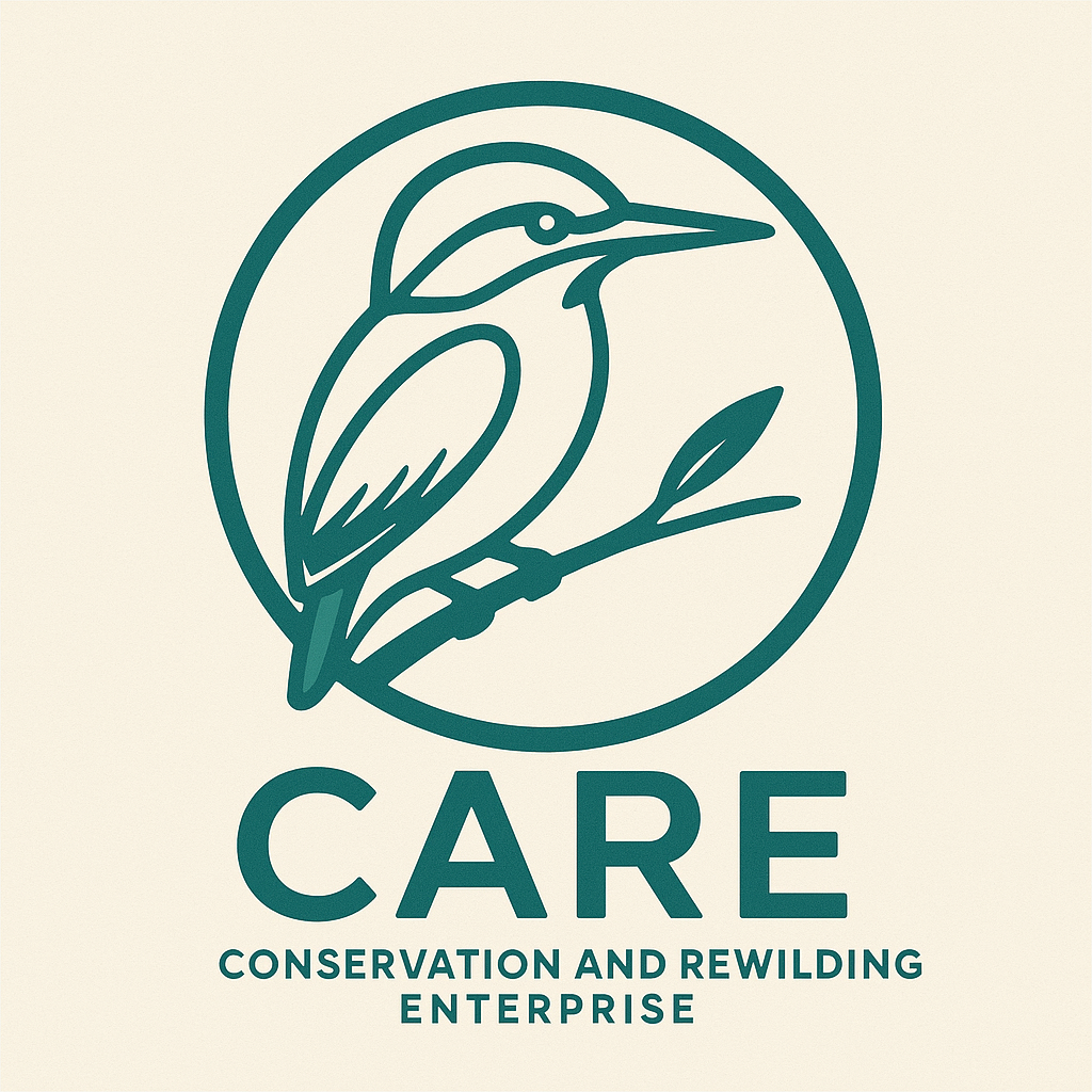 CARE PROJECT LOGO 2