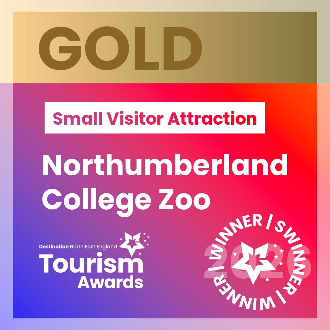 NEETA Winners Northumberland College Zoo